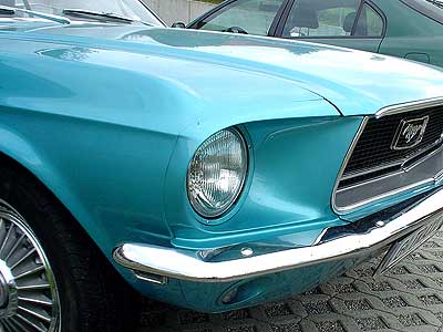 txt73c_mustang.jpg (23264 Byte)
